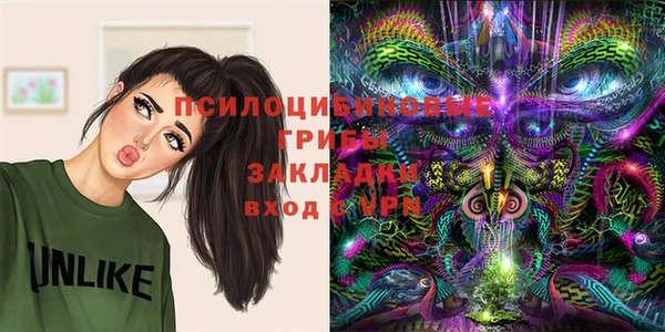 бошки Беломорск