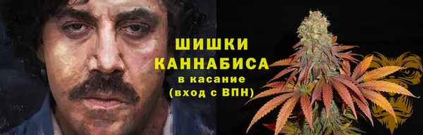 стафф Белокуриха