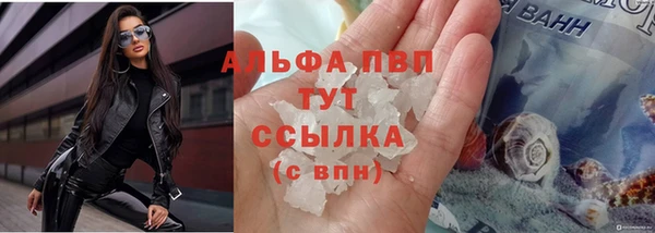 стафф Белокуриха