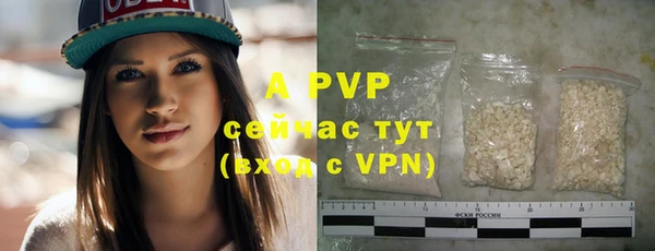 стафф Белокуриха