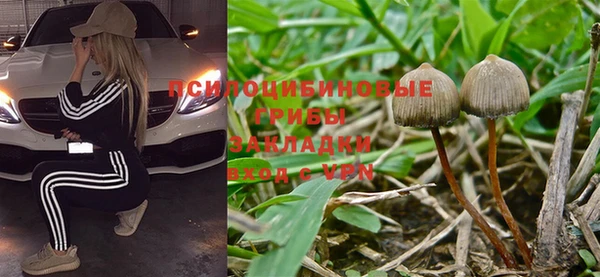 стафф Белокуриха