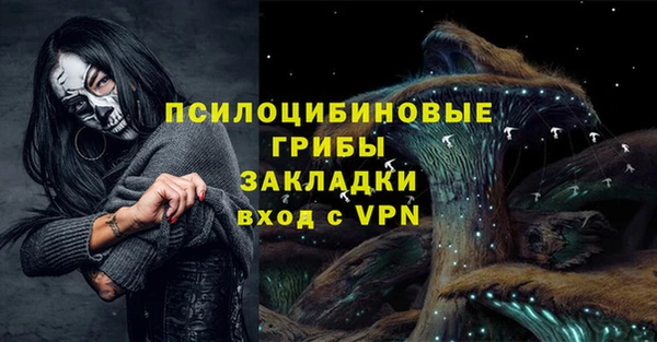 бошки Беломорск