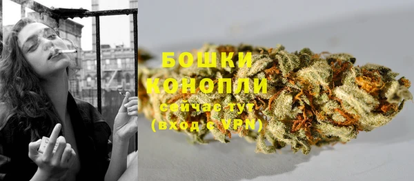 стафф Белокуриха