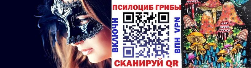 сайты даркнета телеграм  Новоалтайск  Галлюциногенные грибы Magic Shrooms  omg как войти 